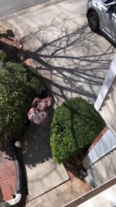 El culote de Jae Galore rebotando es hermoso