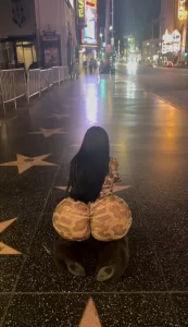 El culote en cuatro de Melissa Avendano en el paseo de la fama